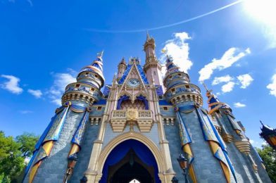 A Magic Kingdom Coaster Will Close For Refurbishment SOON