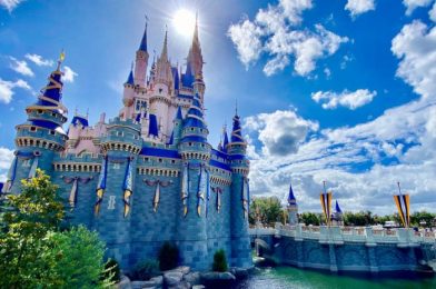 Is Your FAVORITE Disney World Restaurant Overrated?! 13,000 Disney Fans Weigh In!