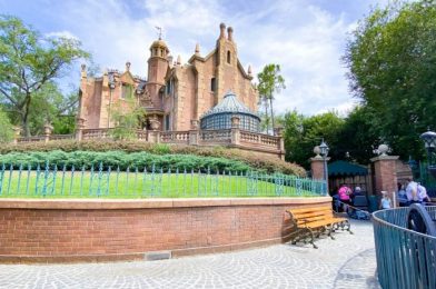 A Hilariously Morbid Haunted Mansion Mug Is Back at Disney World!