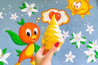 You’re Skipping One of the BEST Ways to Get Citrus Swirl in Disney World