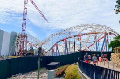 PHOTOS: Monorail Construction is Coming Along at Disney’s Polynesian Village Resort