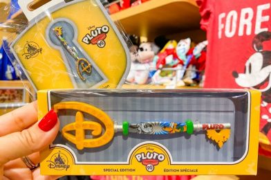 Disney’s NEW Rainbow Collectible Key Has Arrived Online!