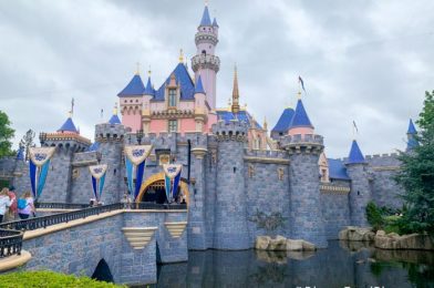 Everything You Need to Know About Renting Wheelchairs and Scooters in Disneyland Now