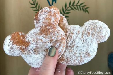 We Bet You’ve Never Had A Disney Beignet Like THIS Before!