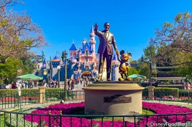 REVIEW: There’s a NEW Birthday Cake Churro in Disneyland! Can It Defeat the Classic?!