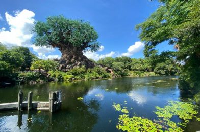 What’s New at Animal Kingdom: MagicBand Price Increases and Health and Safety Changes