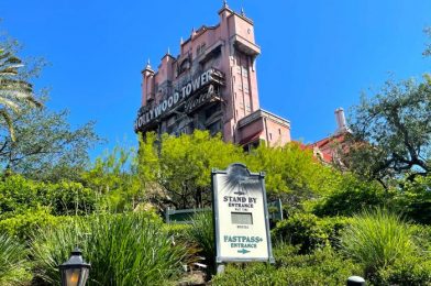 PHOTOS: Plexiglass Dividers Removed on Tower of Terror in Disney World