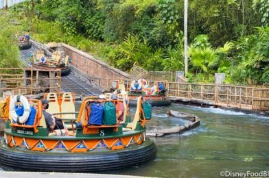 Kali River Rapids Now Opens Later in Disney’s Animal Kingdom