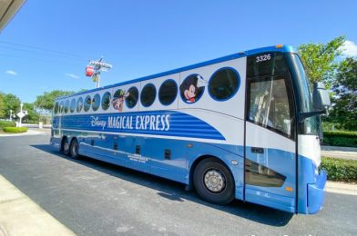 UPDATE on the New Transportation Service that Will Replace Disney’s Magical Express