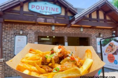 REVIEW: Umm…We Just Found the Perfect BBQ Snack in Disney World