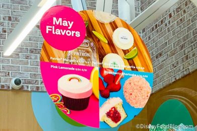 Tequila In A Cupcake? SIX Cupcake Flavors Are Coming to Disney Springs SOON!