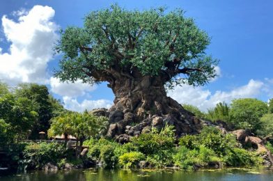 See What Has Changed on the NEW Map for Disney’s Animal Kingdom!