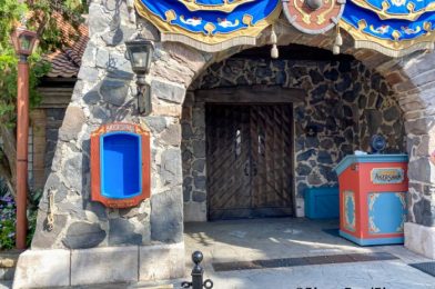 Disneyland’s Most In-Demand Attraction WON’T Be Open Today!