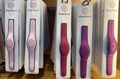 MagicBands Get a BIG Price INCREASE in Disney World