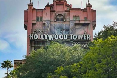 What’s New at Disney’s Hollywood Studios: A Confused Porg and 3 Reopenings