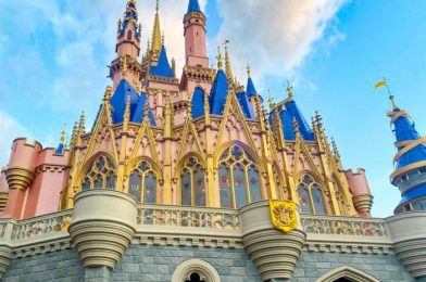 Hurry! Disney World Restocks Park Passes for July and October!