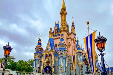 10 Things You NEED to Bring If You’re Going to Disney World for the 50th Anniversary