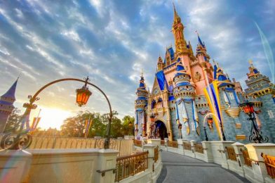 Planning a Disney World Trip?! You Need to Know About These 14 Changes!