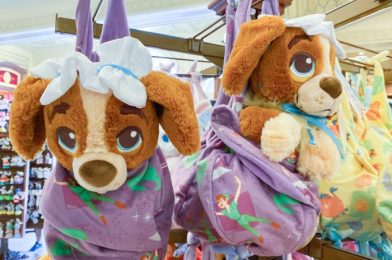 A Rare Character Is Now The Cutest Plush in Disney World!