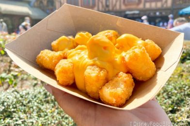 The Disney World Tater Tots Guide You Didn’t Know You Needed