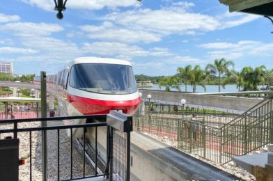 PHOTOS: Monorail Evacuated in Disney World Today