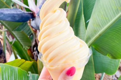 10 Dole Whip Flavor Combos You Need to Try in Disney World