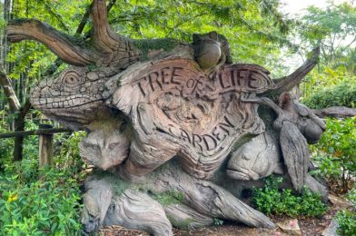 What’s New in Disney’s Animal Kingdom: A T-Shirt Sale and a Moana Sand Sculpture!