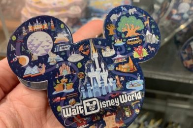 Top 10 WDW Souvenirs Under $10