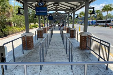 PHOTOS: Distancing Markers Removed From Disney Springs Bus Queues