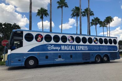 Traveling to Disney World: An Accessible Ground Transportation Failure