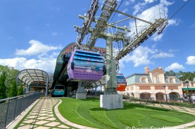 NEWS: The Skyliner Will CLOSE for a Short Refurbishment in Disney World Next Year