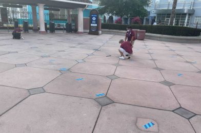 PHOTOS: Universal Orlando Resort Installing 3-Foot Physical Distancing Markers