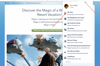 Disney in a Minute: What is Direct-to-Room Check-In?