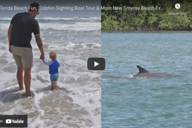 3 THINGS TO DO AT NEW SMYRNA BEACH