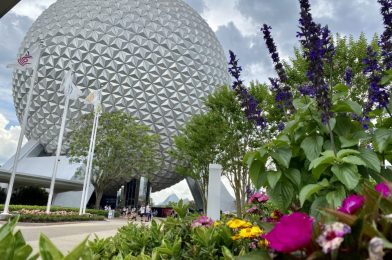 PHOTO REPORT: EPCOT 5/11/21 (Points of Light Installed On North Side of Spaceship Earth, New Construction Walls In Morocco, Strawberry Funnel Cake Frappuccino, and More)