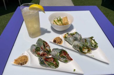 REVIEW: Japanese Highball, Nama Harumaki, and Agedashi Dofu Bowl from the 2020 Tokyo Summer Olympics Booths at Universal Studios Florida