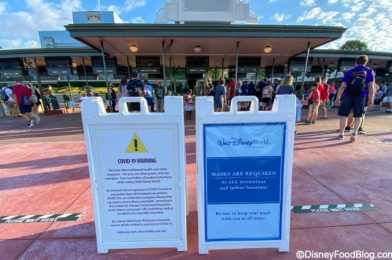 The Most Important Accessory You’ll Need in Disney World NOW!