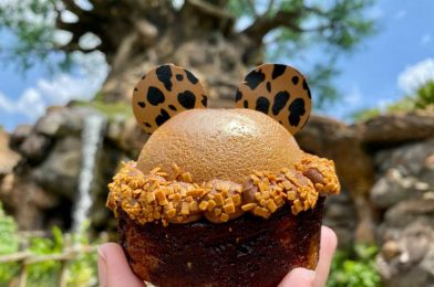 REVIEW: New Cheetah Mocha Mousse Brookie Prowls Into Disney’s Animal Kingdom