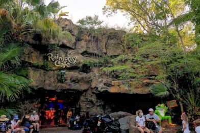 Rainforest Cafe at Disney’s Animal Kingdom: It’s What You Think