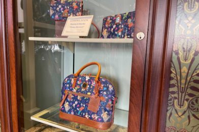 PHOTOS: New Dooney & Bourke “Disney Afternoon” Collection Coming to Walt Disney World June 2