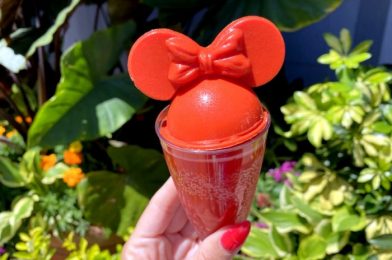 Review: This Pretty Mimosa Will Cost You an Even Prettier Penny in Disney World