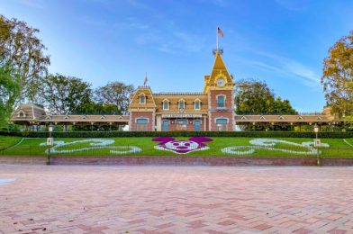 Disneyland Will Soon Offer COVID-19 Vaccines Onsite to Cast Members