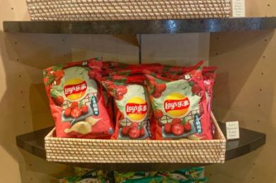 REVIEW: Fruity Potato Chips? These Disney World Snacks Have Some Unexpected Flavors!