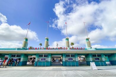 What’s New at Disney’s Hollywood Studios: A Rainbow MagicBand and a RARE Character!