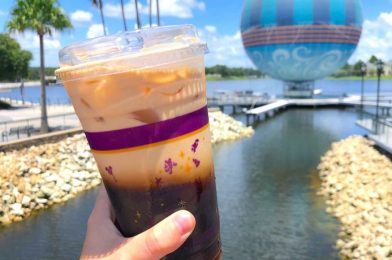 Find Out Where You Get Can 20% Off Tea in Disney World Today