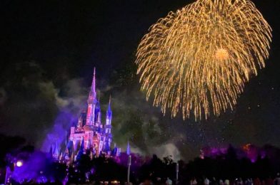 VIDEOS: Tink Is Back! Watch Fireworks Testing Last Night at Magic Kingdom!