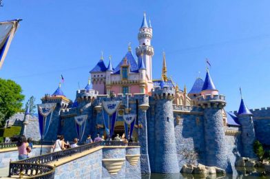 Disney Parks Chairman Comments on the Future of Park Passes