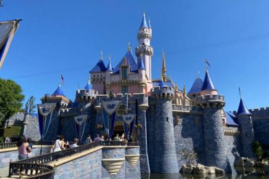 PHOTOS: Disneyland Resort Officially Opens to Out-of-State Guests