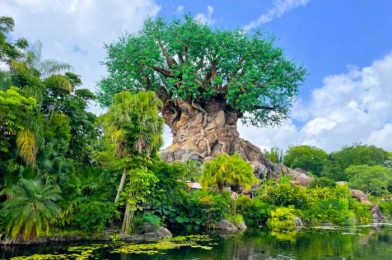 Another Pre-Show Is BACK in Disney’s Animal Kingdom!