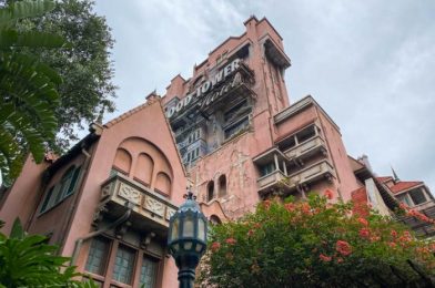 GO! Tower of Terror Ears Restocked in Disney World!